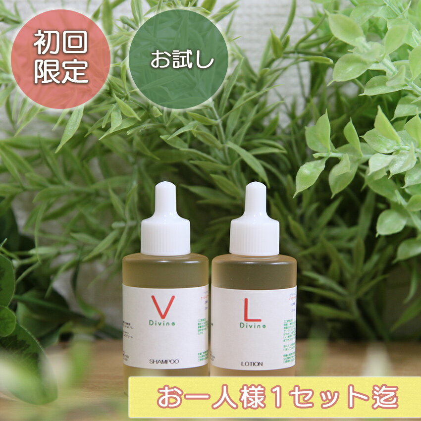 《初回限定 お試し 99円》かゆみ 抜け毛予防 薄毛予防 ディバイン ナノ・シャンプーV & ローション 20ml【ノンシリコンシャンプー オーガニックシャンプー スカルプシャンプー クレンジングシャンプー シャンプー お試し おためし セット 美容室専売 かゆみ ふけ 抜け毛】