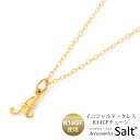 イニシャル ネックレス レディース K14GF ゴールド フィルド 選べる アルファベット a c e f h j k l m n r s t y ペンダント 18k お探しの方 金属アレルギー対応 ニッケルフリー ギフト プレゼント 誕生日 母の日 成人祝い クリスマス 結婚記念日【送料無料】【あす楽】