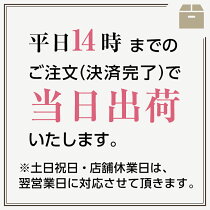 当日発送