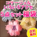 【ポイント10倍!】 ¥2000ポッキリ! コサージュ&アクセサリー 5点セット福袋 (参観日,お呼ばれ,パーティ,入学式,卒園式,入園式,結婚式,ウェディング,パーティー,フォーマル,ヘアクリップ,髪飾り,アクセサリー) _T4_tl 人気