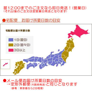 【ポイント10倍】 ティアドロップパールストーンイヤリング　卒業式 入学式 卒園式 入園式 フォーマル、結婚式、ウェディング、パーティー、七五三 アクセサリー、イヤリング レディース メール便 人気