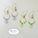 痛くないイヤリング ワッカイヤリング ピナジュエリー