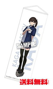 【数量限定】 『 艦隊これくしょん -艦これ- × ローソン コラボ 』 劇場版艦これ 公開記念キャンペーン 艦娘ミニタペストリー 【航空母艦 加賀 ver】