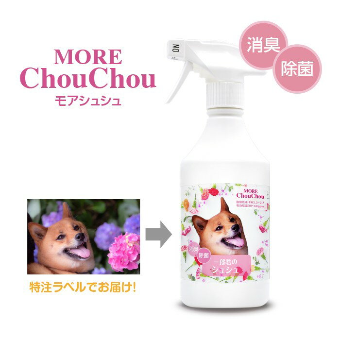 ʤڥåѥꥸʥ٥Ƕýե⥢奷/ǻýץ졼/ڥåȾý