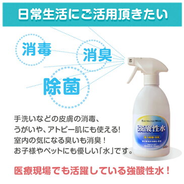 2本セット安全の消毒液【 強酸性水 500ml×2 】強酸性 次亜塩素酸 水 電解水 手指 除菌液 空間 除菌スプレー 除菌消臭スプレー ウイルス除菌スプレー 除 菌 消臭 赤ちゃん ベビー ペット用 顔 ハンド おもちゃ テーブル 安心 うがい アトピー肌 化粧水 ウィルス カネオくん