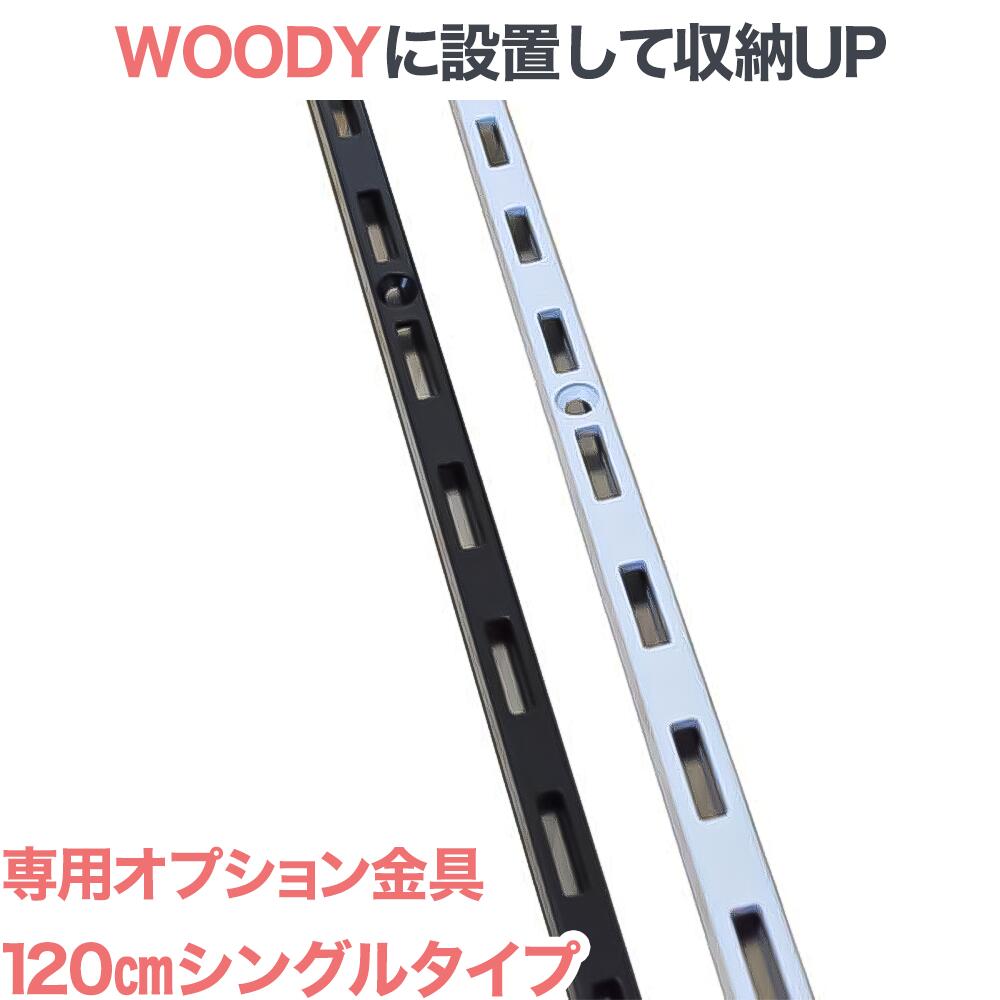 テレビ 壁掛け 金具 賃貸 壁掛金具 壁掛けテレビ テレビ金具 送料無料 WOODY専用 オプション wdy-asf-1-120