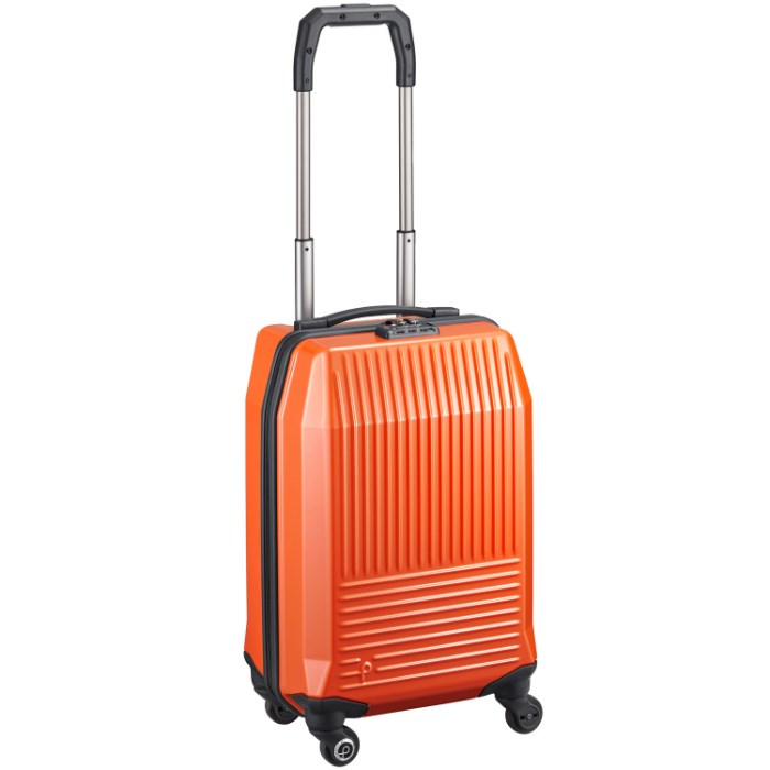 メーカー包装済 スーツケース 機内持ち込み プロテカ フリーウォーカーd パワフル 機敏な走行性能 1泊 2泊 スーツケース 31リットル キャリーバッグ キャリーケース 楽天市場 Soyfanimal Com