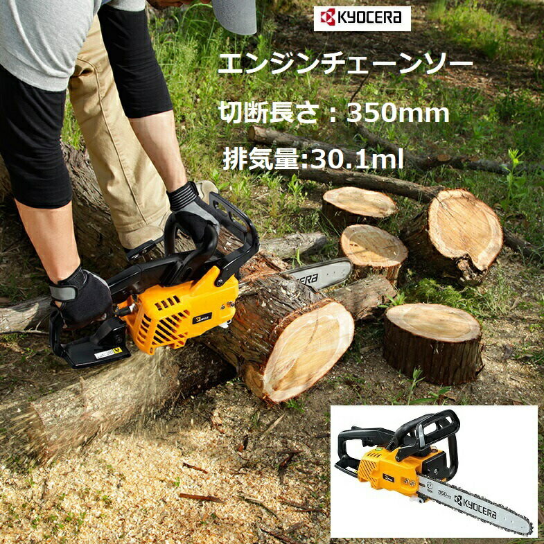imgrc0093076616.jpg imgrc0093076616.jpg