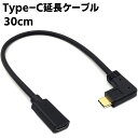 Type C 延長ケーブル 30cm L字 usb-c 延長 90度 USB C オス メス 延長コード 5A急速充電 usb-c 変換 タイプCオス - メス...