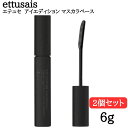 エテュセ アイエディション マスカラベース 6g クリアブラック 2個セット ettusais マスカラ下地 ウォータープルーフ まつ毛用 化粧下地