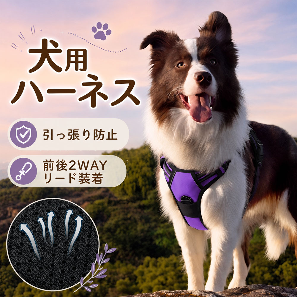 &nbsp;商品仕様素材：オックスフォード生地 セット内容：ハーネス＋リード カラー：ブラック、レッド、ピンク、グリーン、オレンジ、パープル、ブルーA、ローズピンク、グレー、ブルーB