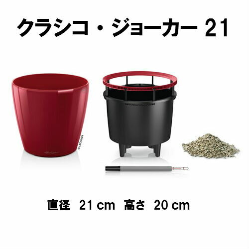 園芸トレー 35穴 PMT-35 プラスチックトレイ セルトレイ セルトレー 黒 育苗トレー 育苗トレイ プラスチック トレー 育苗 トレイ 園芸用 園芸用品 家庭菜園 ガーデニング ガーデニング用品 多肉植物 苗 鉢 エケベリア