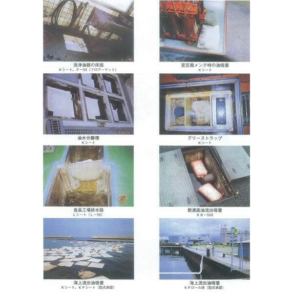 �����������륭��å��㡼 KB-500�Х륯�ͥå������10������ ��¦��/�ӿ��/����浡������/�����/ϳ��/�۵�/������ /�����к�/�����줿�����ϡۢ���������Բġۢ��᡼����ľ�����ʤΤ��������ѤϤ����ѤǤ��ޤ���