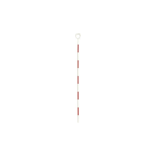 Rakuten - 大平産業 TP-50 トラバーピン 50cm 径3.5mm 測量 土木 地籍調査など