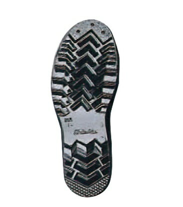 Ĺ�� �쥤��֡��� �ɥ饤�ʡ�����»�ȾĹ ���ʥ��� ���ȡ��Ӷ� ���ߡ����� ������¤