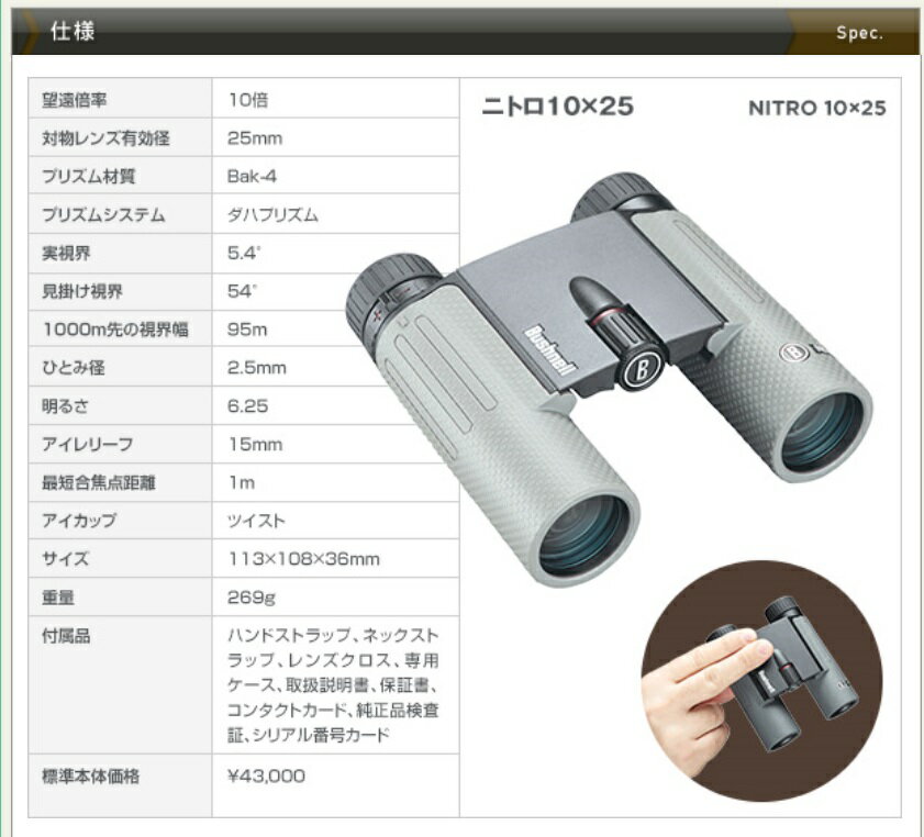 �д�� Budhnell �˥ȥ�10��25