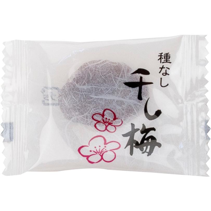 ランドアート ほし梅 干し梅 種なしソフトタイプ 干し梅（500g袋入り）熱中症対策 ...