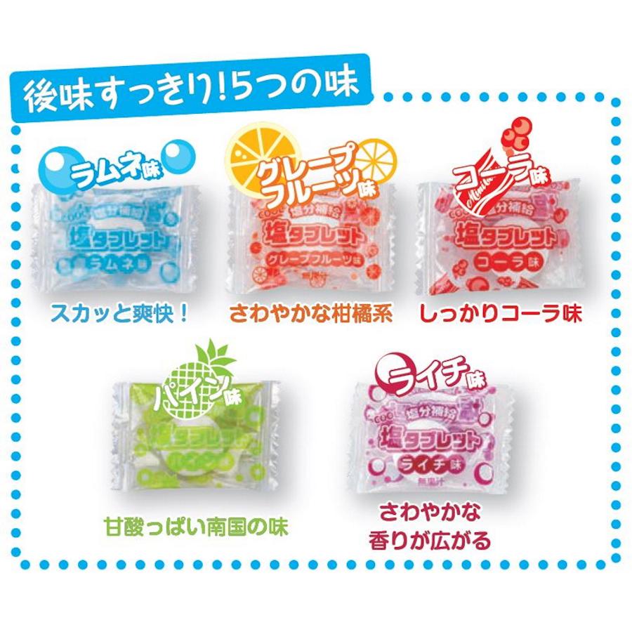 2026ǯ�ǿ����� �쥯�Υ������֥�åȥ�����MIX 500g������10�� ��1850γ ���� ���졼�ץե롼�� ������ �ѥ��� �饤��̣ Ǯ����к� ����5���� �ϥ��ӥ����� ���ɥ����� �����֥�å�5���� ������