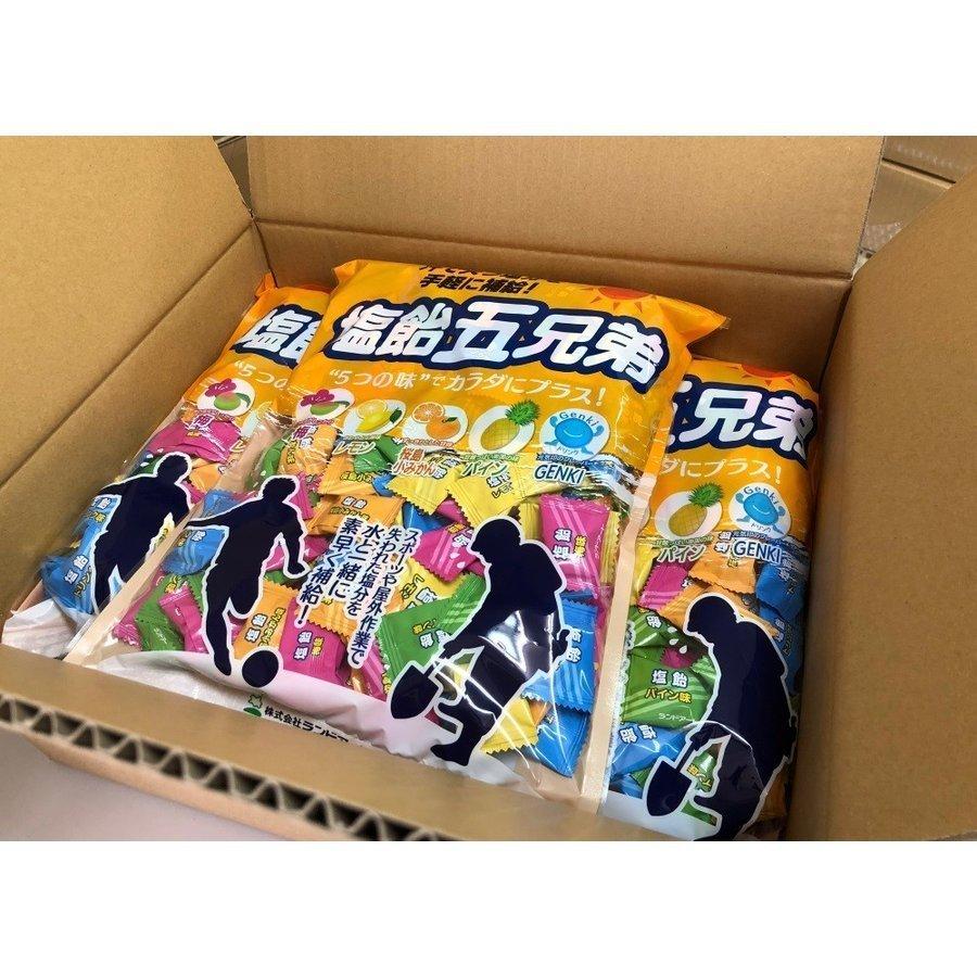 2026年最新入荷 まとめ買い ランドアート ...の紹介画像2