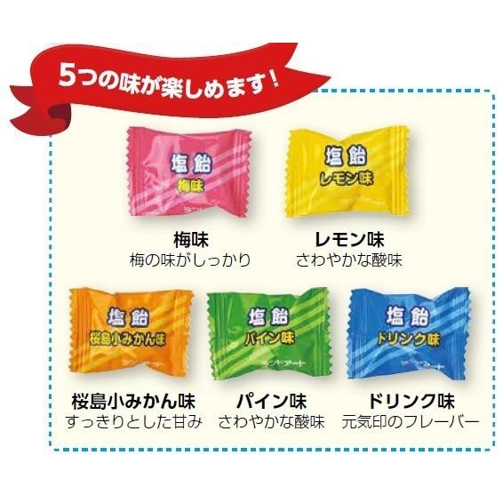 2026年最新入荷 まとめ買い ランドアート ...の紹介画像3