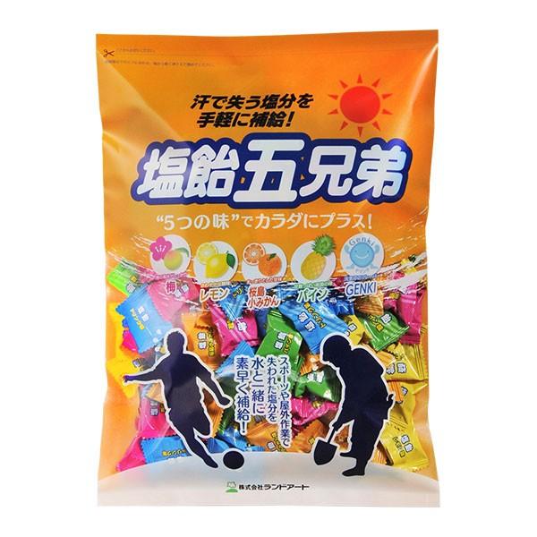 2026年最新入荷 まとめ買い ランドアート ...の紹介画像2