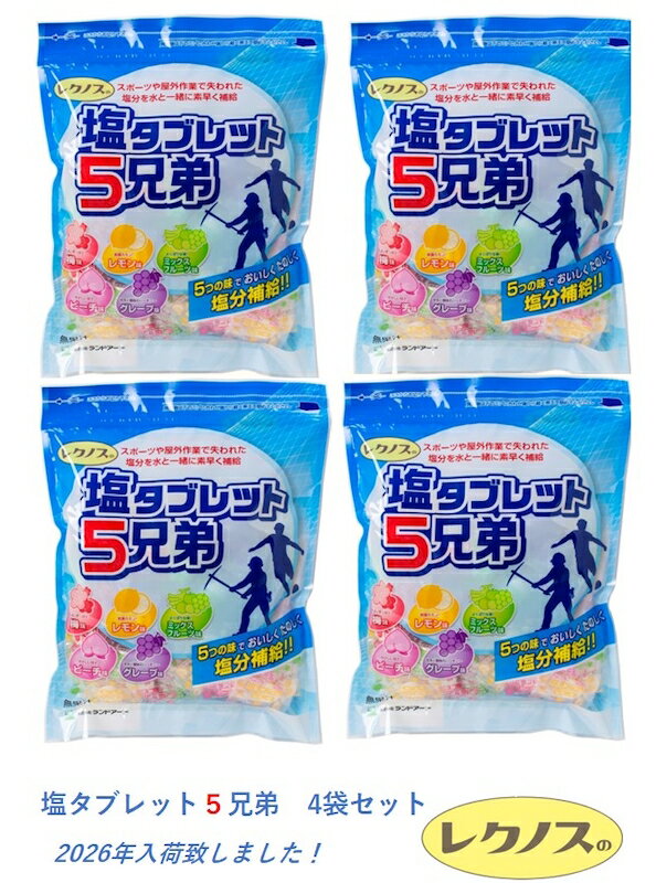 2026最新入荷 熱中症対策 4袋まとめ買い ランドアート 塩タブレット5兄弟 500g×4袋入 約740粒 塩飴 塩あめ 塩タブレット5兄弟 塩分補給 塩アメ