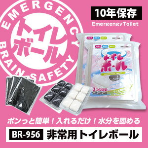 ����ѥȥ���ܡ��롡12��������ʪ�ޤˤ��Τޤ����������Ǥ����Ǥޤ롡���ݾý�����ʪ���դ���10ǯ��¸��ǽ