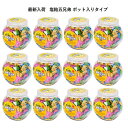 2024年最新入荷 ランドアート 塩飴五兄弟ポット （600g 約150粒）12ポットまとめ買い 5種詰め合わせ 塩飴 塩アメ 熱中症対策 登山 マラソン 塩飴5兄弟 塩分補給 塩あめ