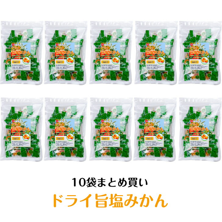 予約受付中 10袋まとめ買い 熱中症対策 ドライ旨塩みかん 250g袋入 ドライフルーツ ドライみかん ランドアート ハイビスカスの熱中症対..