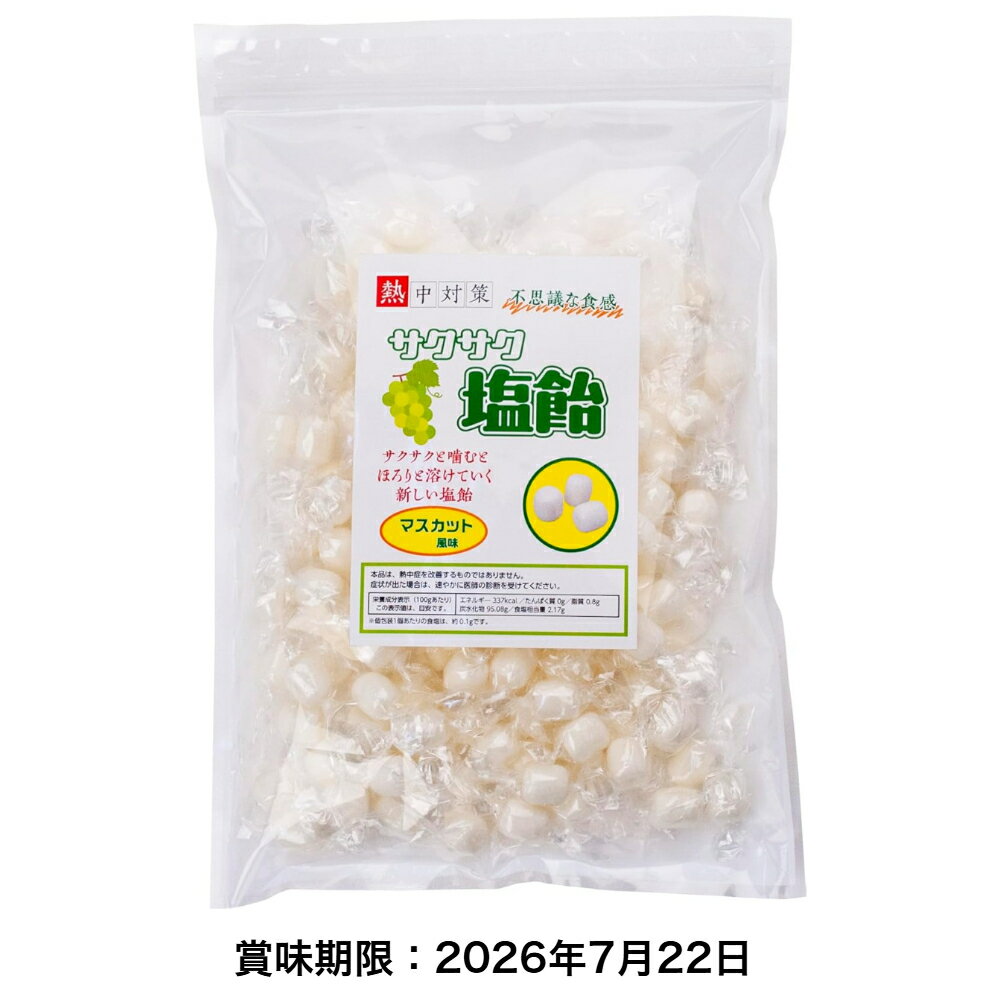 訳アリ 賞味期限:2026年7月22日 熱中症対策 サクサク塩飴 マスカット風味 500g袋入 ランドアート ハイビスカスの熱中症対策商品 塩飴五..