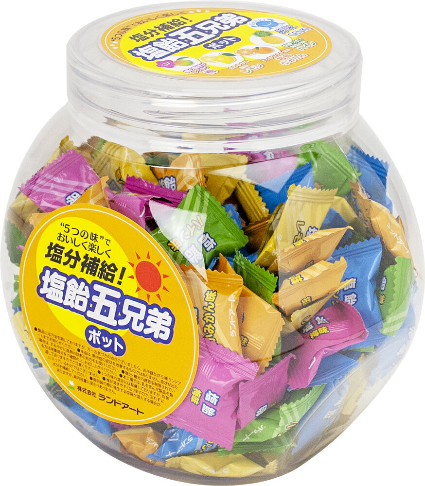 2024年最新入荷 ランドアート 塩飴五兄弟ポット （600g 約150粒） 5種詰め合わせ 塩飴 熱中症対策 登山 マラソン 塩飴5兄弟 塩あめ 塩アメ 塩分補給