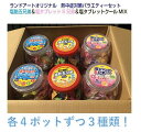 2025年最新入荷 熱中症対策 1箱12ポットまとめ買い ランドアート塩飴五兄弟&塩タブレット5兄弟&塩タブレットクールMIX 3種類4ポットずつ計12ポット塩...