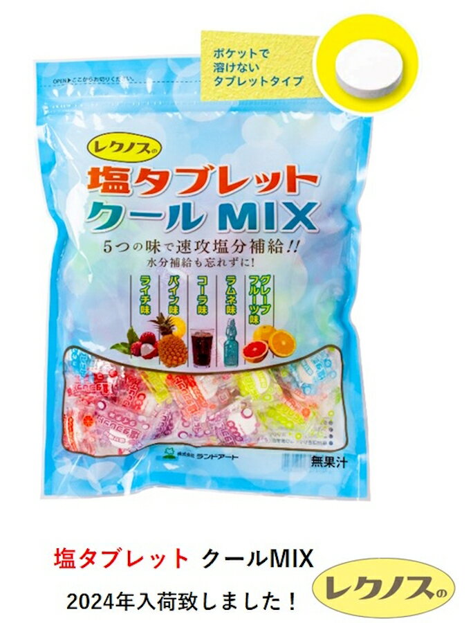 ミンティアミントショコレット クリアミント 25g × 10個 小袋菓子 清涼感