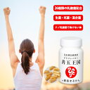 \ クーポン発行中!5のつく日ポイントUP↑ 銀座まるかん 皇龍 受賞店 / 乳酸菌サプリ ドラゴンパワー善玉王国 銀座まるかん 26種類の乳酸菌と話題の成分を...