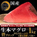 築地直送 国産 生本マグロ 1kg 中とろ 赤身 背ブロック マグロ ブロック お歳暮 ギフト プレゼント 送料無料 一度も冷凍してない冷蔵品！