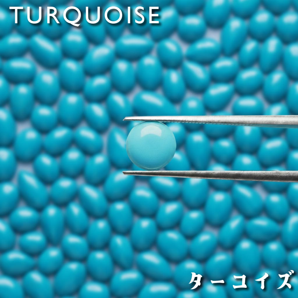 ��12�������Х�����������TURQUOISE�� ����������ԡ����������ᥤ�����̥����ӥ� �� ���ڽ��ס����лԾ�Ĵ���� ��������Ϥ���˾�˱�����������������Ȥ�...