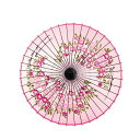 山本竹細工屋 (YAMAMOTOTAKIZAYIKUYA) 和傘 絹傘 桜絵 継柄 踊り傘 1尺6寸