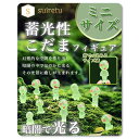 suiretu 苔テラリウム 蓄光 水槽 オブジェ アクアリウム テラリウム キット メダカ 隠れ家 フィギュア 10体セット