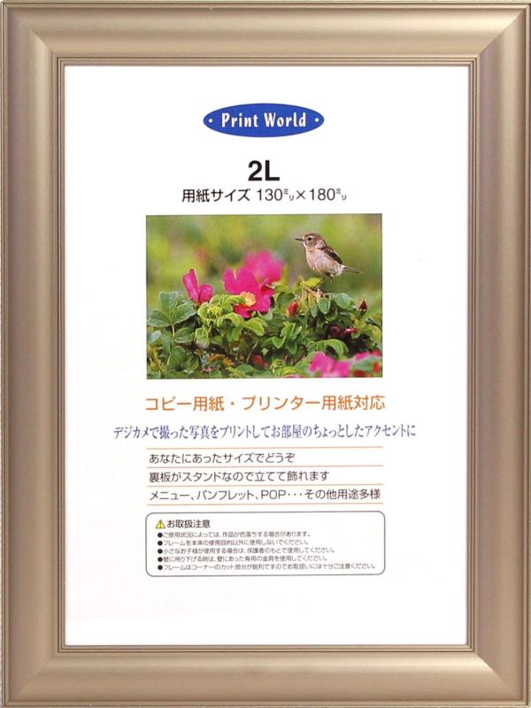 イワタ プリパネ ライトフレーム