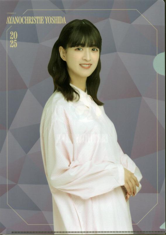 乃木坂46 A4クリアファイル 13th YEAR BIRTHDAY LIVE 