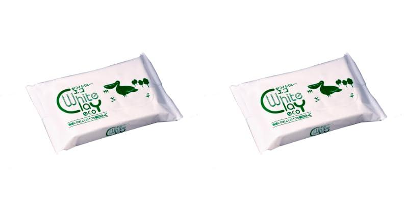 CEC 紙粘土 ホワイトクレーエコ 1kgx2