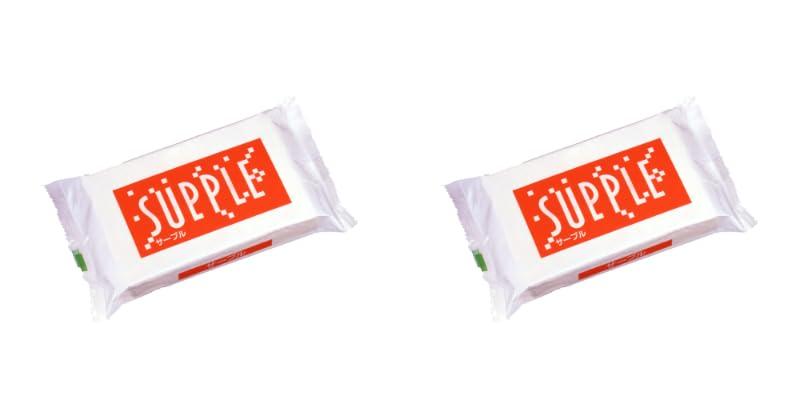 CEC 紙粘土 サープル 500gx2個パック