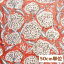 50cmñ̡ۥ֥åץ No.170  ڤ åȥ   κ ˥ ǥץ  ե֥å ƥ ե ˥å  ʪ  ϥɥᥤ Ż  Ūblock print fabric