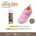 【期間限定/消臭スプレー プレゼント】瞬足 シュンソク しゅんそく syunsoku 女の子 ジュニア キッズ スニーカー 瞬足 JC-951　ピンク 【2E】※15.0〜19.0cm