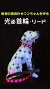 Acid 【セット】光る首輪 + リード犬 散歩 ライト 夜 ペット 充電式 超明るい 軽量 抗菌 小型犬 中型犬 大型犬 サイズ調節可能
