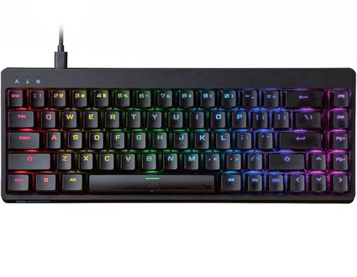 エレコム ゲーミングキーボード V-CUSTOM VK300S 【US配列】 有線 RGB テンキーレス 65%サイズ メカニカル 銀軸 スピードリニア USBポ..