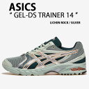 ASICS アシックス スニーカー GEL-DS TRAINER 14 1203A607-300 LICHEN ROCK SILVER シューズ ゲルディーエス...