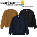 CARHARTT カーハート スウェット AMERICAN SCRIPT SWEATSHIRT アメリカン スクリプト スウェットシャツ トレーナー ルーズフィット ワイドフィット ブラック ブラウン ネイビー メンズ レディース CA22SSSWCR【中古】未使用品