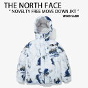 THE NORTH FACE ノースフェイス ダウンジャケット NOVELTY FREE MOVE DOWN JACKET ノベルティ ヌプシ ダウン ジャケット アースパターン 地球 ロゴ ストリート ホワイト ライトブルー WHITE ホ…