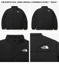 THE NORTH FACE ノースフェイス パディングジャケット LEWES ON BALL STANDNECK JACKET ルイス オン ボール スタンドネック ジャケット ロゴ カジュアル ストリート ブラック グレー メンズ レディース NJ3NN52A/B【中古】未使用品 3